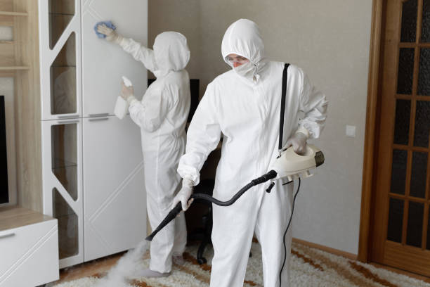 Best Certified Mold Removal  in Eufaula, OK