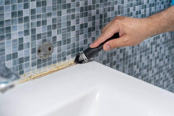 Best Local Mold Removal Service  in Eufaula, OK