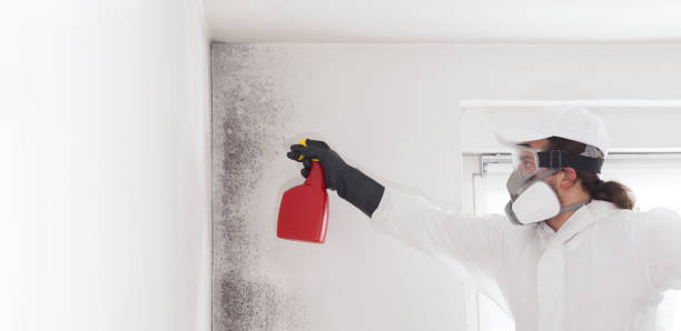 Best Office Mold Removal Services  in Eufaula, OK