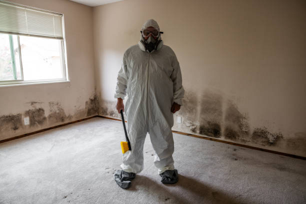 Best Mold Removal and Inspection  in Eufaula, OK