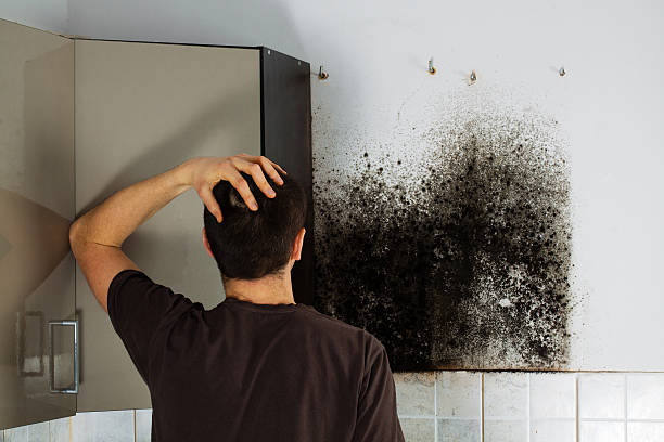 Best Mold Testing  in Eufaula, OK