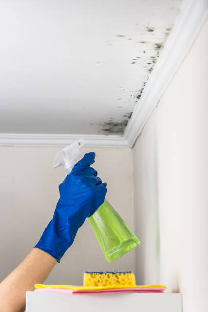 Best Residential Mold Removal  in Eufaula, OK